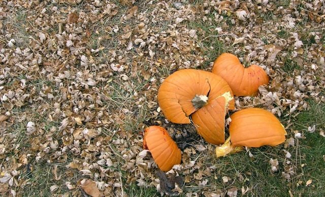pumpkin smash