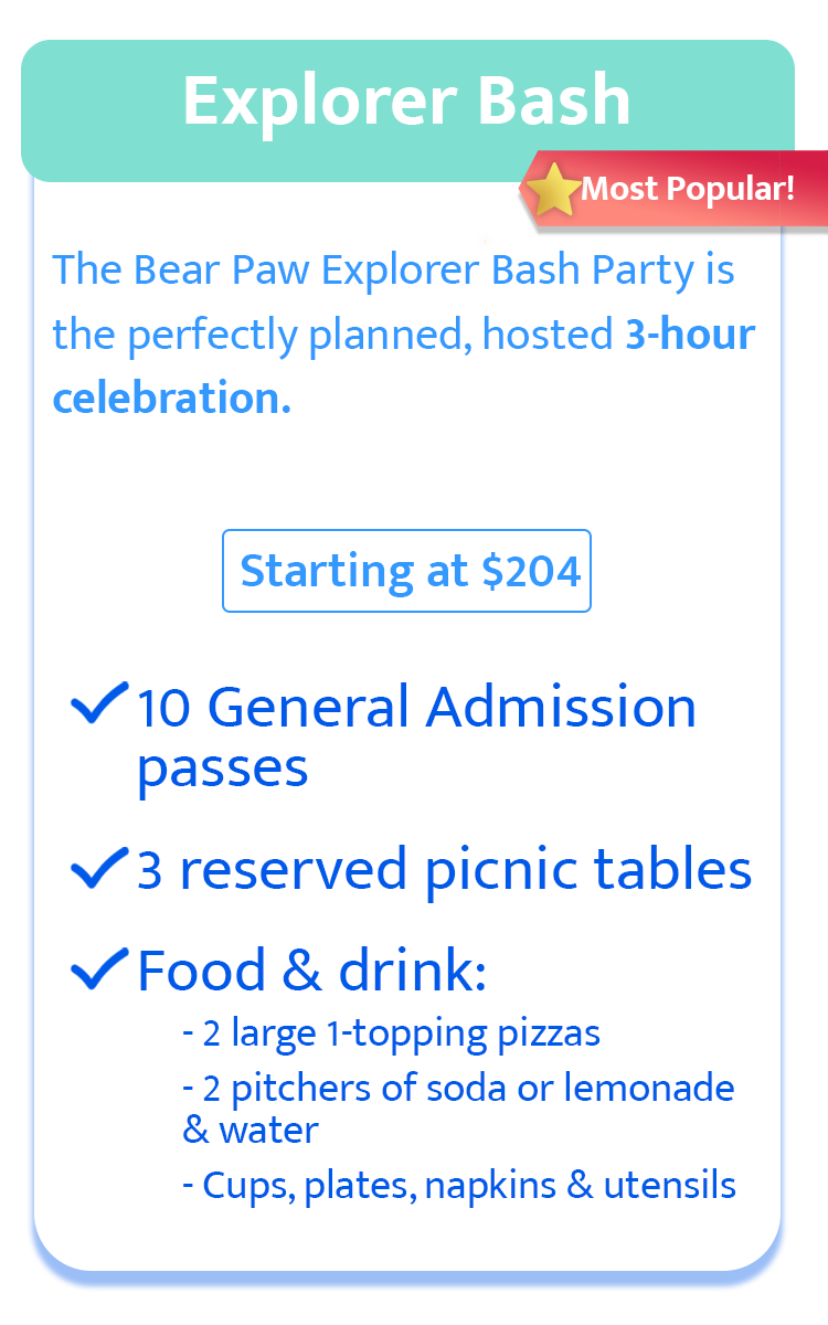 explorer bash